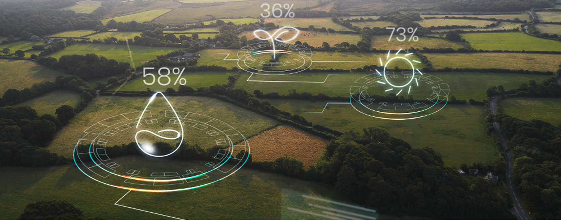 An image illustrating sustainability or environmental preservation